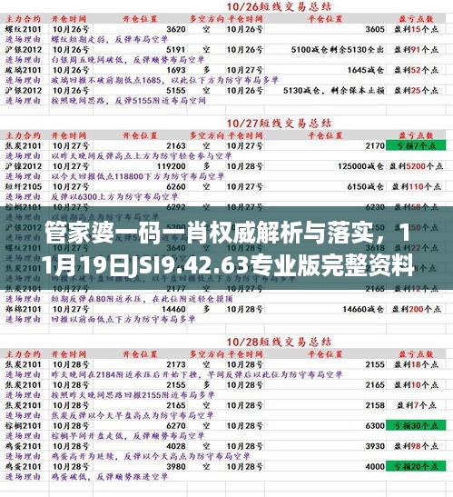 管家婆一码一肖权威解析与落实，11月19日JSI9.42.63专业版完整资料