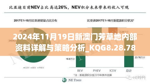 2024年11月19日新澳门芳草地内部资料详解与策略分析_KQG8.28.78职业版