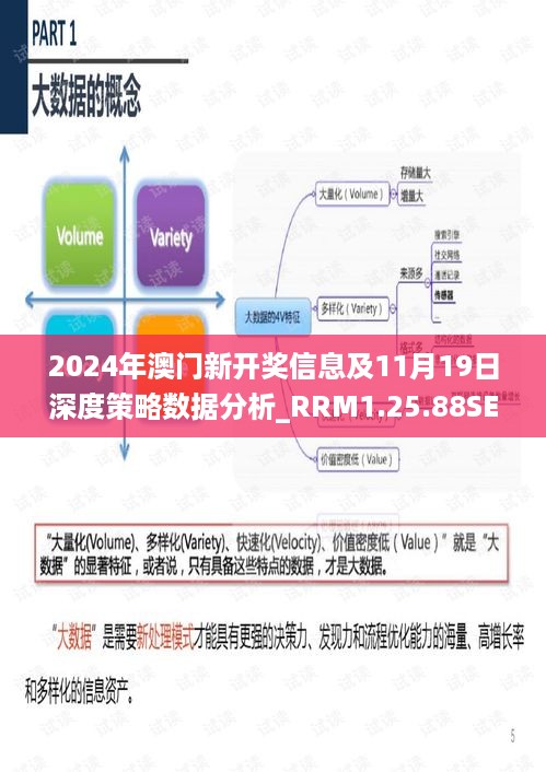 2024年澳门新开奖信息及11月19日深度策略数据分析_RRM1.25.88SE版