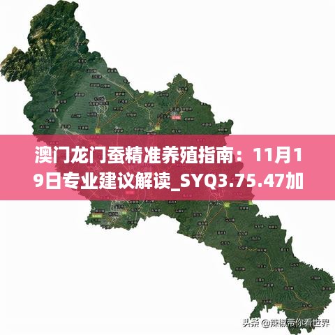 澳门龙门蚕精准养殖指南：11月19日专业建议解读_SYQ3.75.47加速版