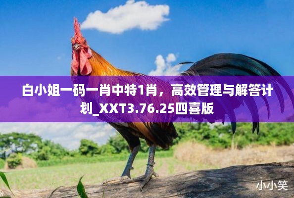 白小姐一码一肖中特1肖，高效管理与解答计划_XXT3.76.25四喜版