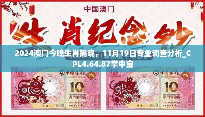 2024澳门今晚生肖揭晓，11月19日专业调查分析_CPL4.64.87掌中宝