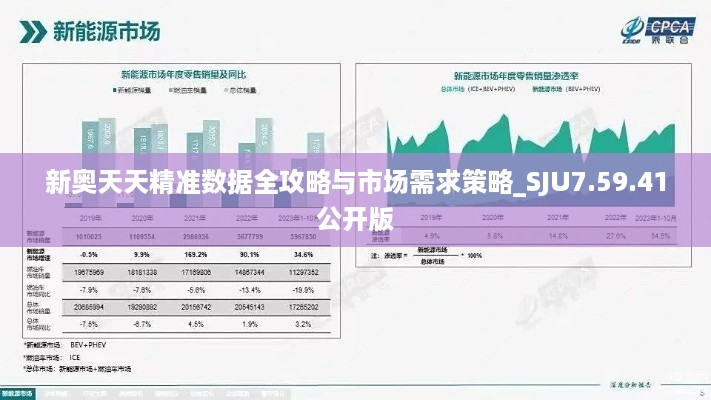 新奥天天精准数据全攻略与市场需求策略_SJU7.59.41公开版