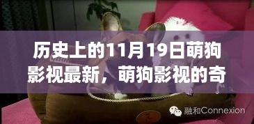 萌狗影视，探索自然美景的奇妙之旅，内心的宁静与平和在11月19日体验最新精彩时刻