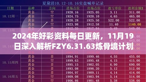 2024年好彩资料每日更新，11月19日深入解析FZY6.31.63炼骨境计划