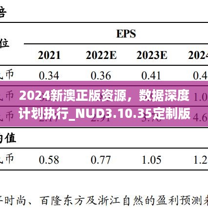 2024新澳正版资源，数据深度计划执行_NUD3.10.35定制版