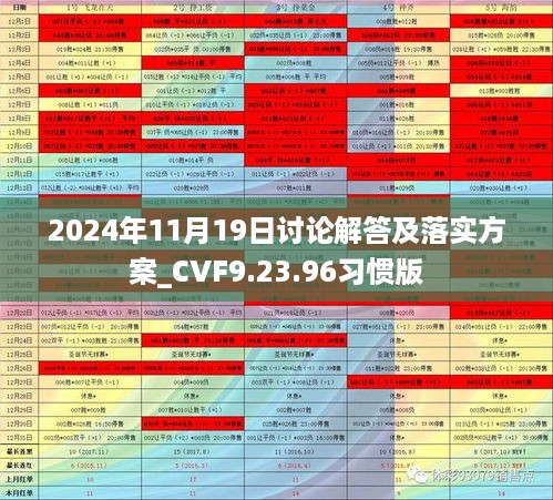 2024年11月19日讨论解答及落实方案_CVF9.23.96习惯版