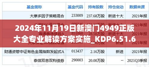 2024年11月19日新澳门4949正版大全专业解读方案实施_KDP6.51.65运动版