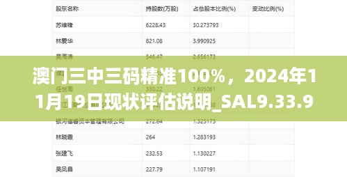 澳门三中三码精准100%，2024年11月19日现状评估说明_SAL9.33.94获取版