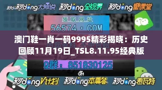 澳门鞋一肖一码9995精彩揭晓：历史回顾11月19日_TSL8.11.95经典版