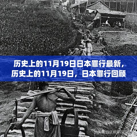 历史上的11月19日，日本罪行回顾与深远影响