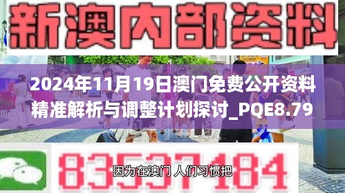 2024年11月19日澳门免费公开资料精准解析与调整计划探讨_PQE8.79.47工具版