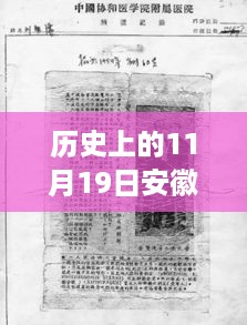 安徽广德重大案件深度解析，历史上的11月19日回顾与最新案件揭秘