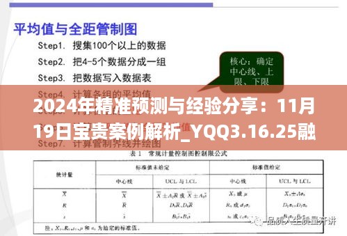 2024年精准预测与经验分享：11月19日宝贵案例解析_YQQ3.16.25融元境