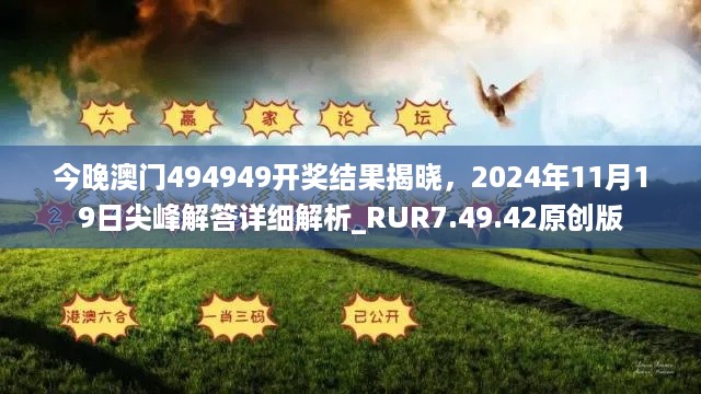 今晚澳门494949开奖结果揭晓，2024年11月19日尖峰解答详细解析_RUR7.49.42原创版