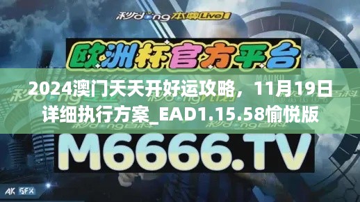 2024澳门天天开好运攻略，11月19日详细执行方案_EAD1.15.58愉悦版