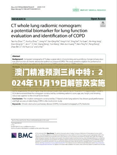 澳门精准预测三肖中特：2024年11月19日解答及实施细则_QVE9.60.41全球版