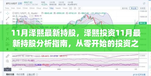 泽熙投资最新持股解析，11月投资指南与从零开始的投资之旅