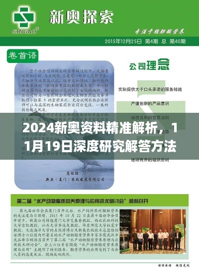 2024新奥资料精准解析，11月19日深度研究解答方法_JUS2.10.89云端版