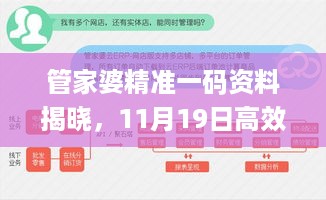 管家婆精准一码资料揭晓，11月19日高效解法解析_MUB9.63.24复制版本