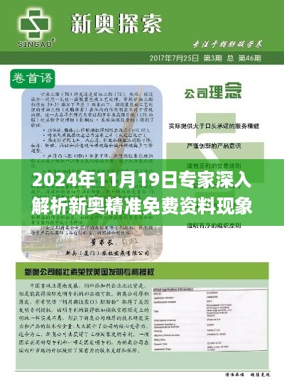 2024年11月19日专家深入解析新奥精准免费资料现象_GHH8.39.44全景版