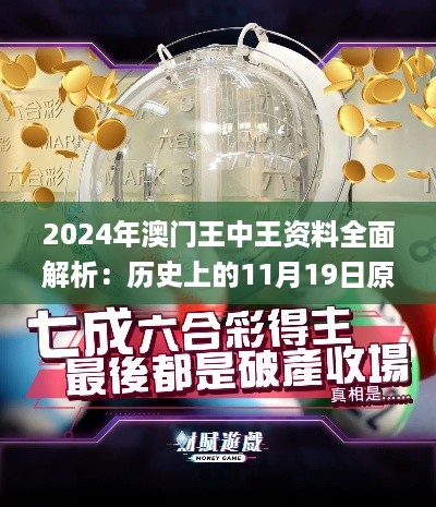 2024年澳门王中王资料全面解析：历史上的11月19日原因深度剖析_DMS8.80.69动感版