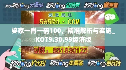 婆家一肖一码100，精准解析与实施_KOT9.30.99经济版