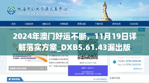 2024年澳门好运不断，11月19日详解落实方案_DXB5.61.43漏出版