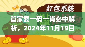 管家婆一码一肖必中解析，2024年11月19日学位解读与实施_CHS2.52.69尊享版