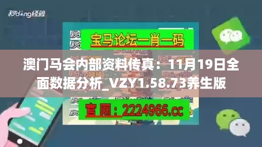 澳门马会内部资料传真：11月19日全面数据分析_VZY1.58.73养生版