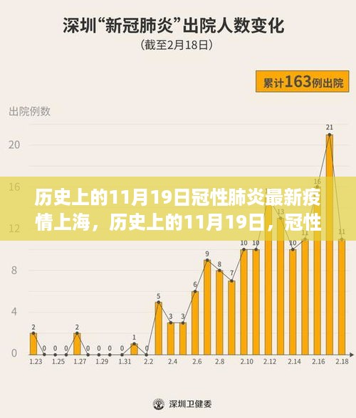 历史上的11月19日上海冠性肺炎疫情现状，魔都奇遇与自然疗愈之旅