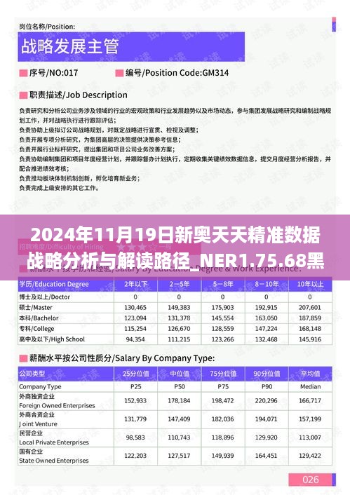 2024年11月19日新奥天天精准数据战略分析与解读路径_NER1.75.68黑科技版