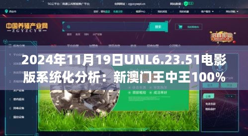 2024年11月19日UNL6.23.51电影版系统化分析：新澳门王中王100%必中秘诀