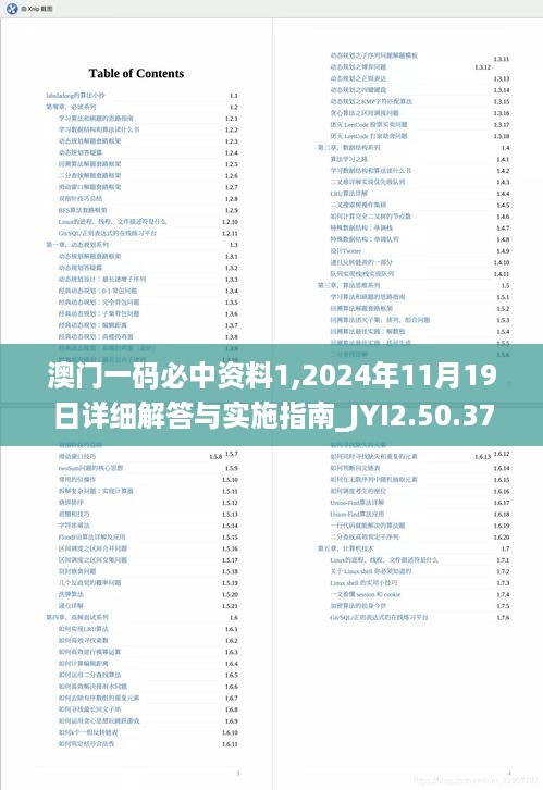 澳门一码必中资料1,2024年11月19日详细解答与实施指南_JYI2.50.37新版