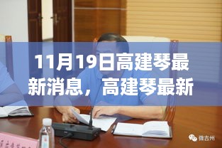 高建琴最新动态及深度解析报道（11月19日更新）