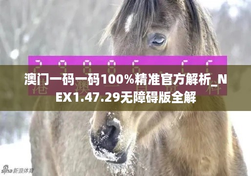 澳门一码一码100%精准官方解析_NEX1.47.29无障碍版全解