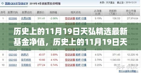 历史上的11月19日天弘精选基金净值全攻略，从初学者到进阶用户的查询指南