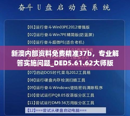 新澳内部资料免费精准37b，专业解答实施问题_DED5.61.62大师版