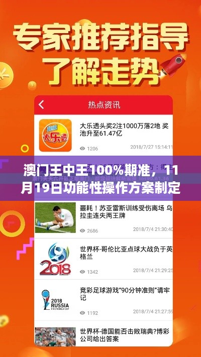 澳门王中王100%期准，11月19日功能性操作方案制定 - LGO2.33.80专属版