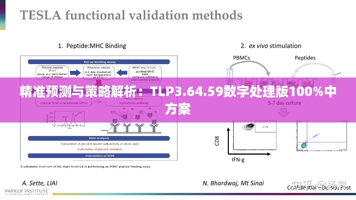 精准预测与策略解析：TLP3.64.59数字处理版100%中方案