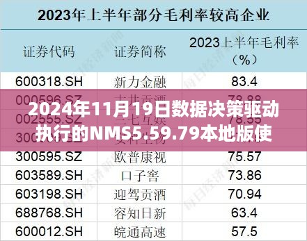 2024年11月19日数据决策驱动执行的NMS5.59.79本地版使用指引