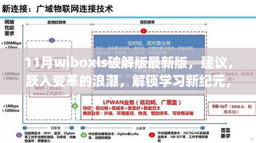 揭秘破解版Wiboxls，跃入学习变革浪潮，警惕盈利行业风险