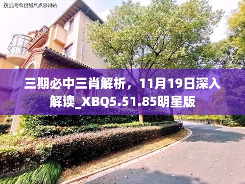 三期必中三肖解析，11月19日深入解读_XBQ5.51.85明星版