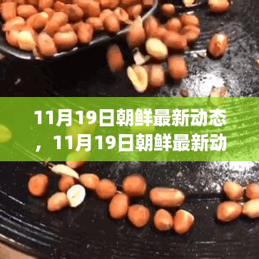 深度解读与观察，11月19日朝鲜最新动态分析