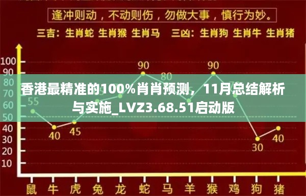 香港最精准的100%肖肖预测，11月总结解析与实施_LVZ3.68.51启动版