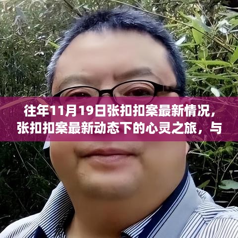 张扣扣案最新动态，心灵与自然的美景共舞，探寻内心宁静的力量