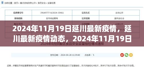 2024年11月19日延川疫情最新动态及深度解析