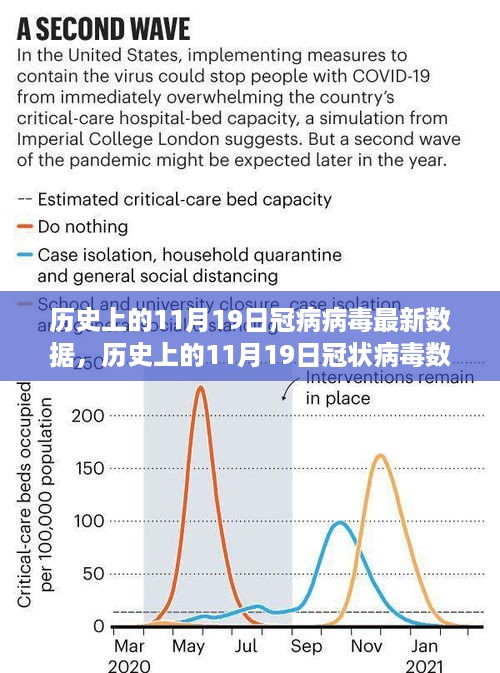 多维视角解析，历史上的11月19日冠状病毒数据深度报告与立场探讨