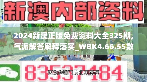 2024新澳正版免费资料大全325期,气派解答解释落实_WBK4.66.55数字版