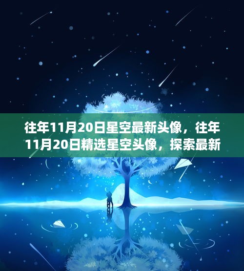 定制专属星空头像之旅，往年11月20日精选星空头像探索最新潮流趋势